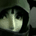 Click to Install This Buddy Icon